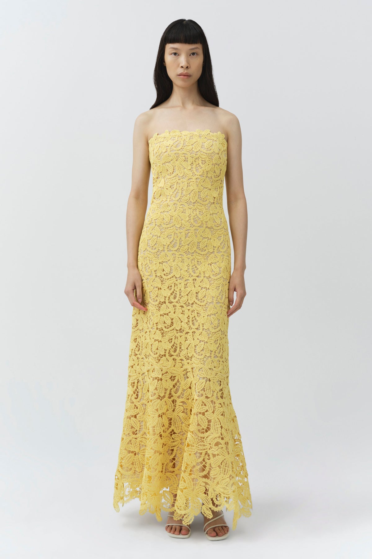 Sera Floral Raffia Bustier Midi Dress