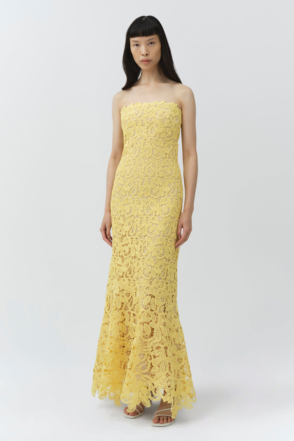 Sera Floral Raffia Bustier Midi Dress