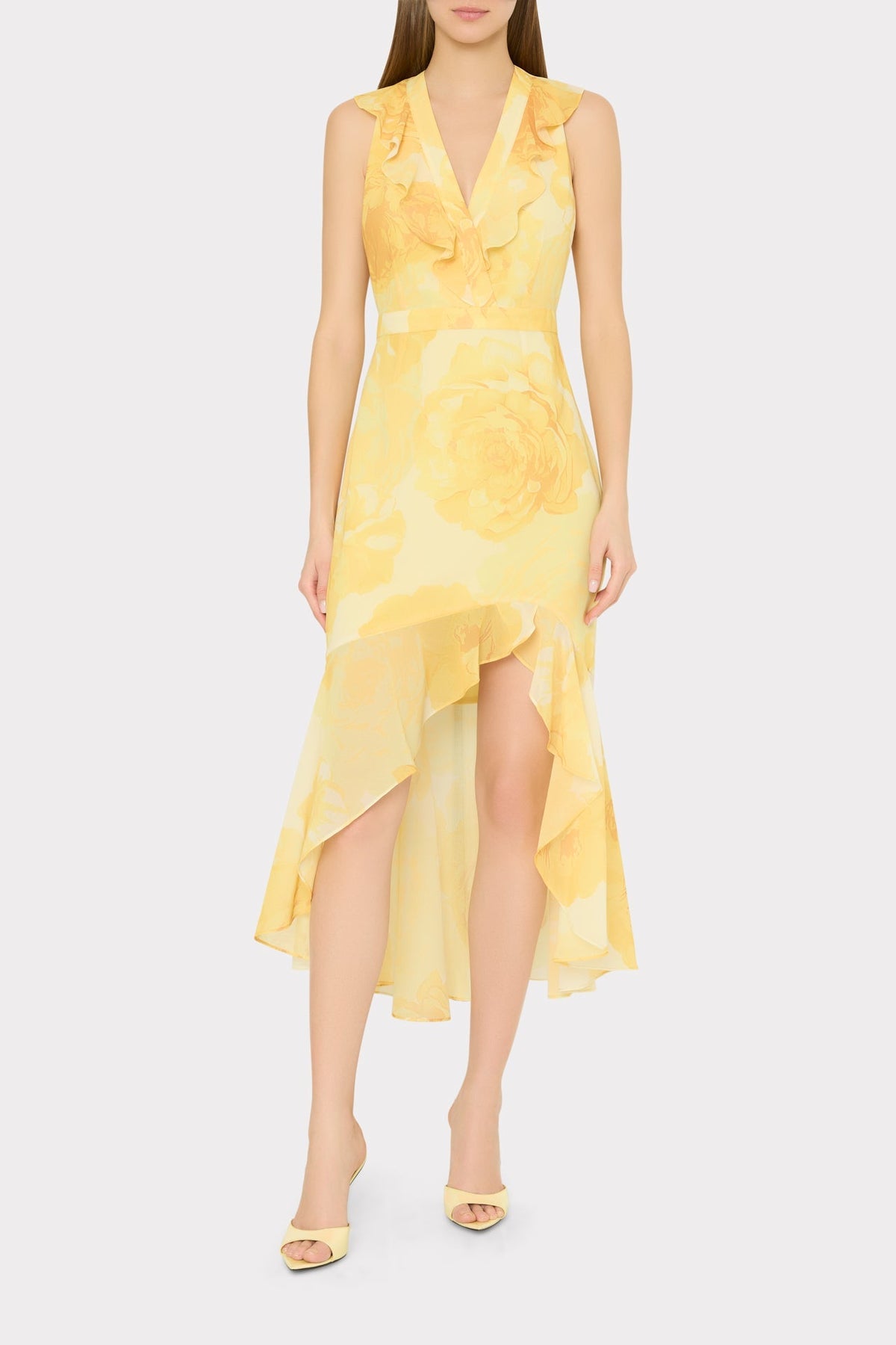 Nanci Printed Midi Dress