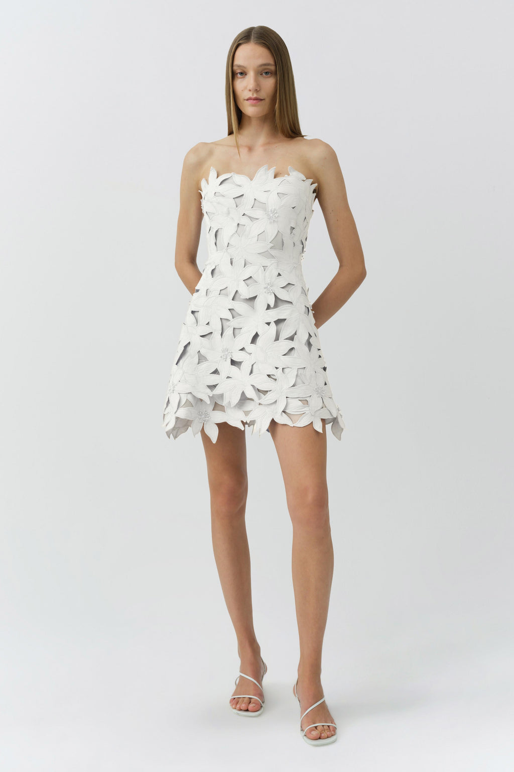 Miri Embroidered Cotton Bustier Mini Dress