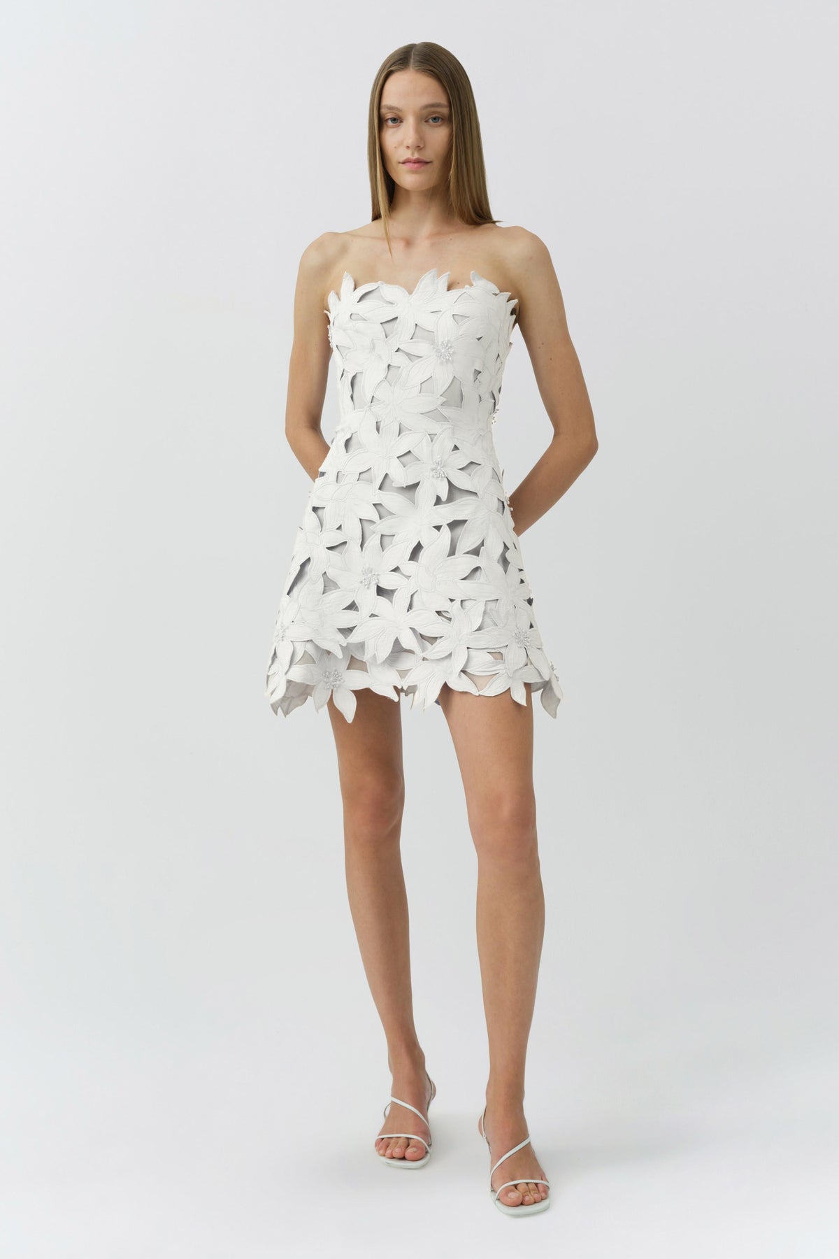 Miri Embroidered Cotton Bustier Mini Dress