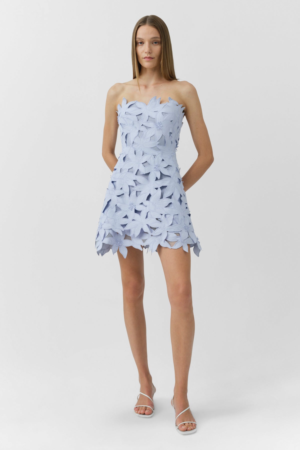 Miri Embroidered Cotton Bustier Mini Dress