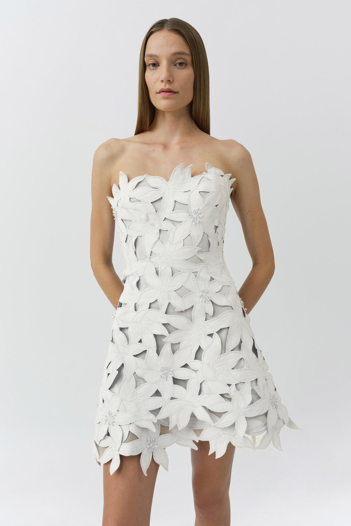 Miri Embroidered Cotton Bustier Mini Dress