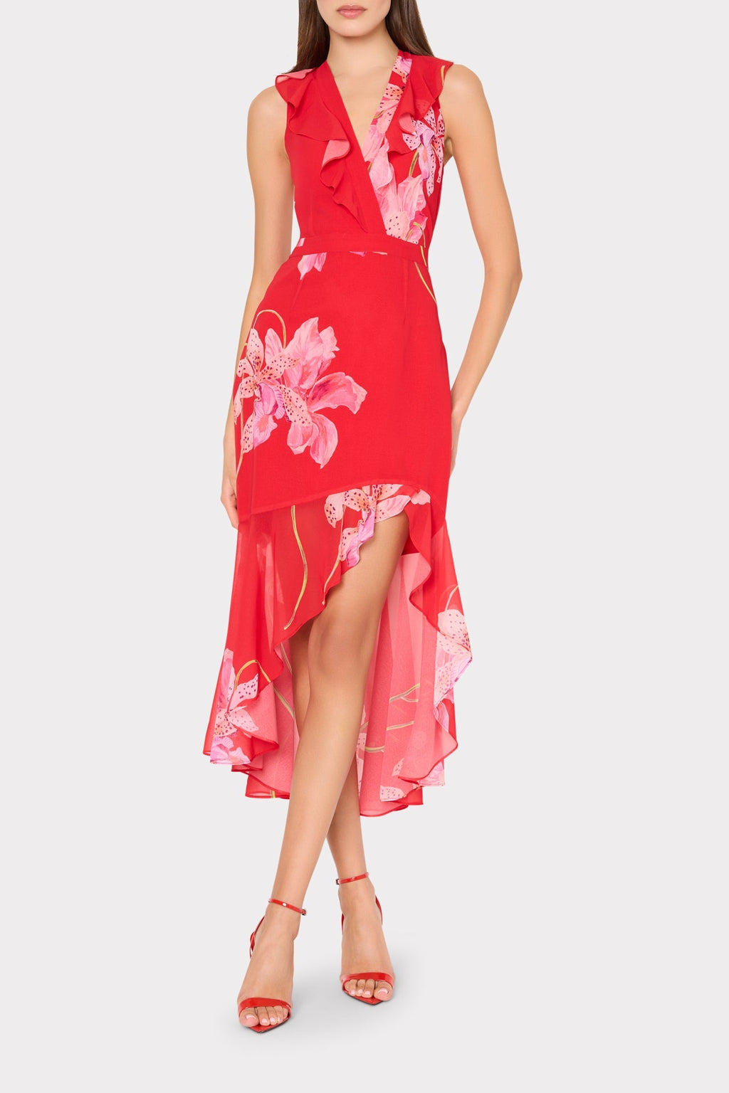 Nanci Printed Midi Dress