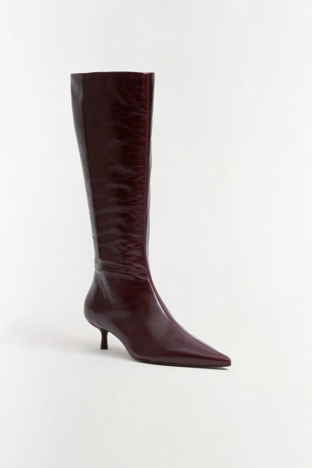 Janine Leather Knee High Boot