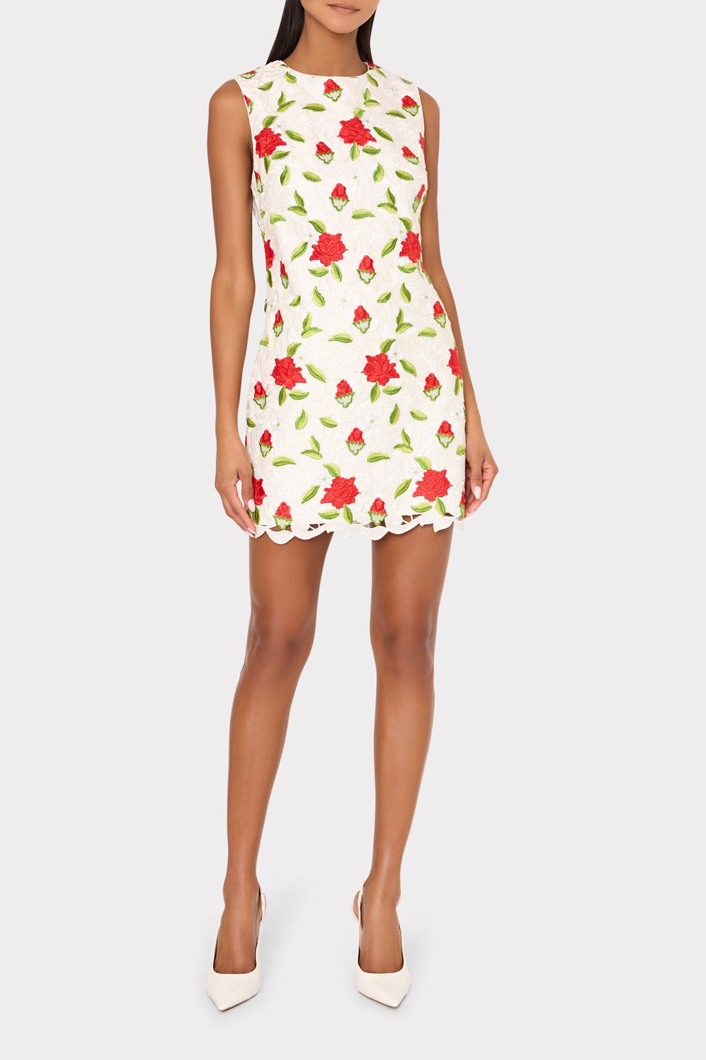Ivette Rose Embroidered Mini Dress