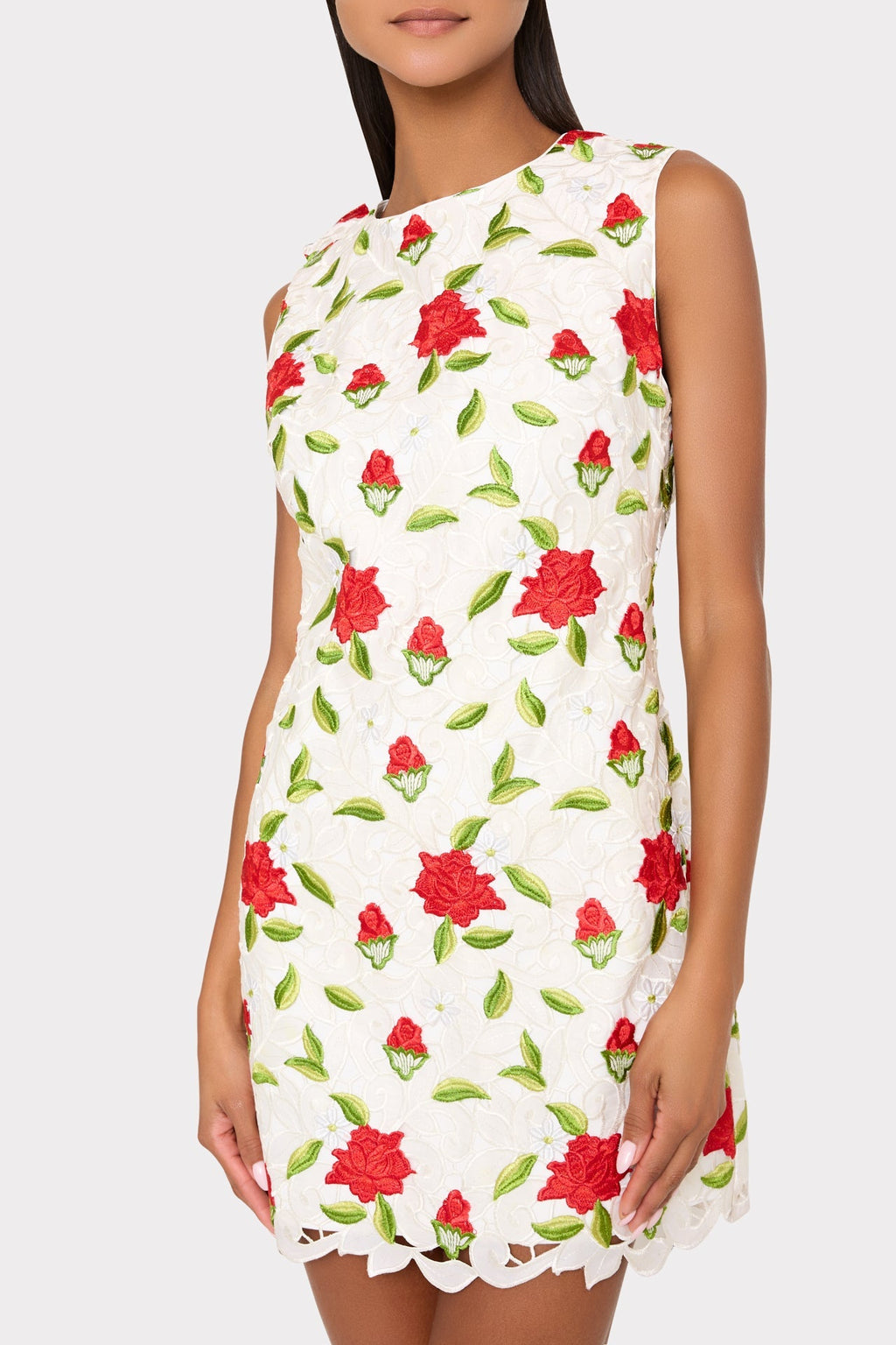 Ivette Rose Embroidered Mini Dress