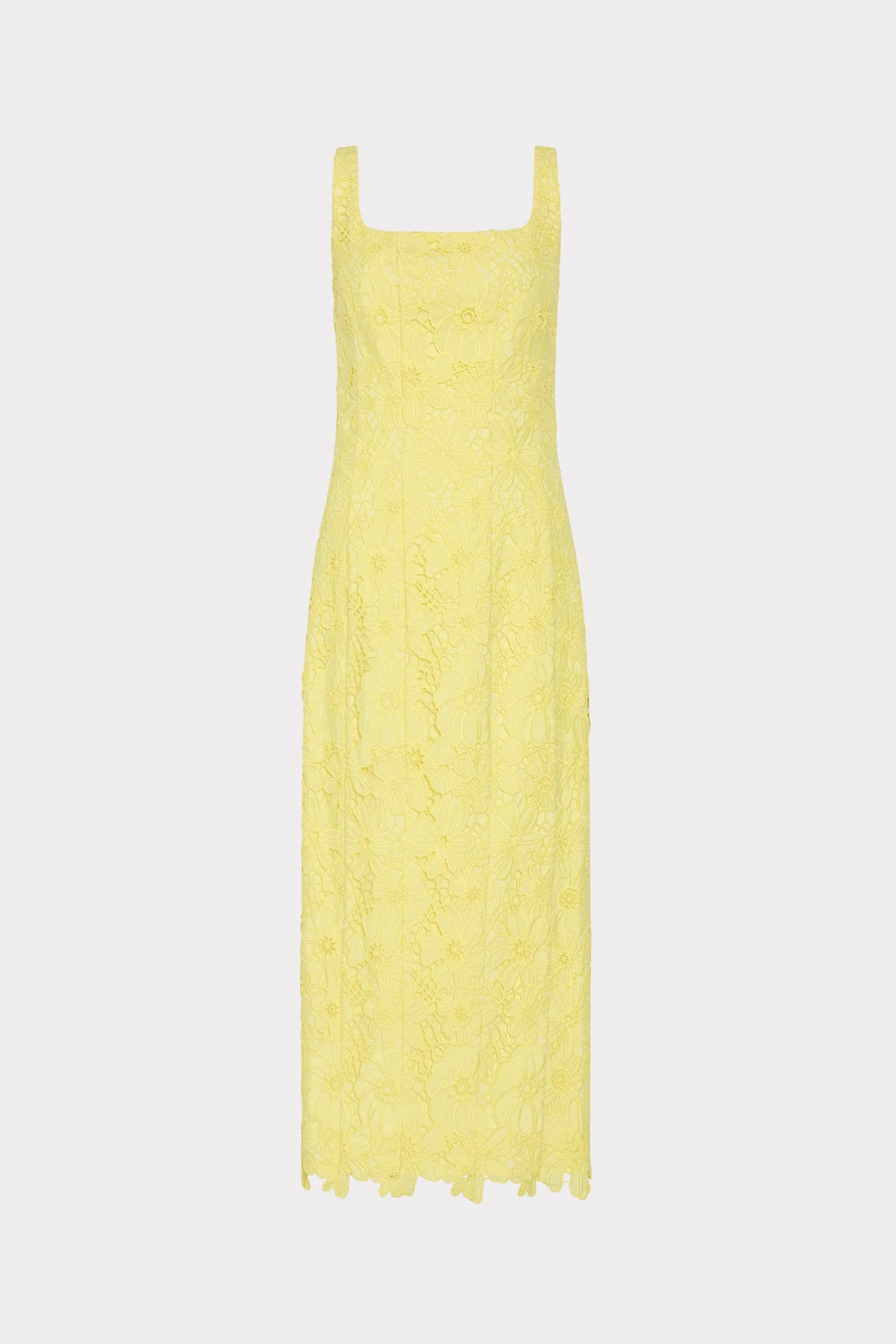 Izel Lace Midi Dress
