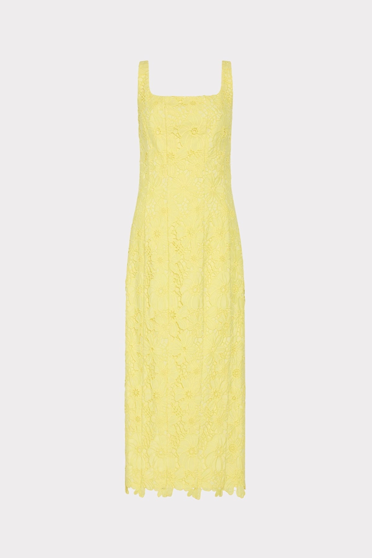 Izel Lace Midi Dress