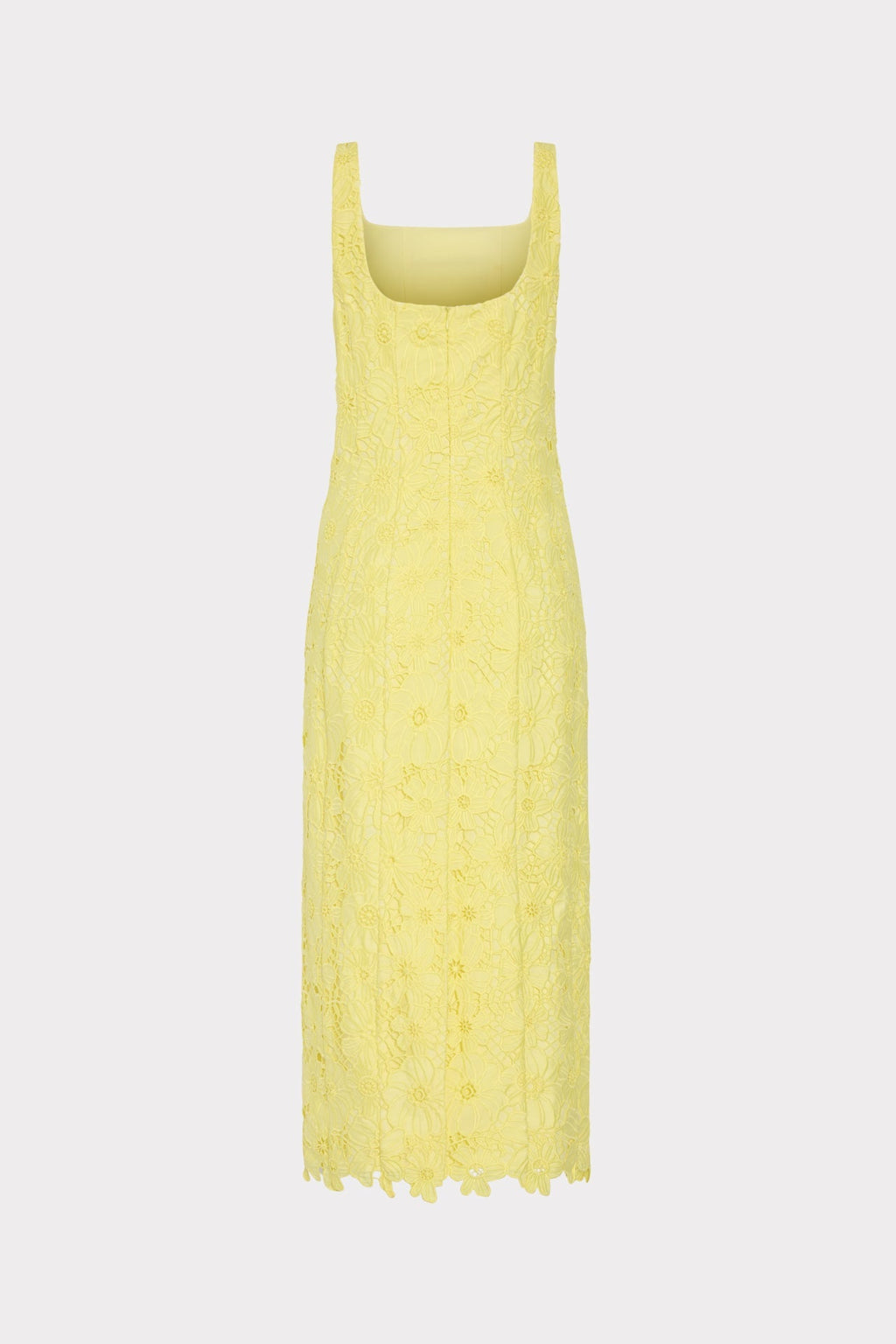 Izel Lace Midi Dress