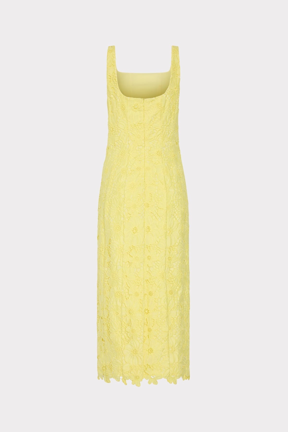 Izel Lace Midi Dress