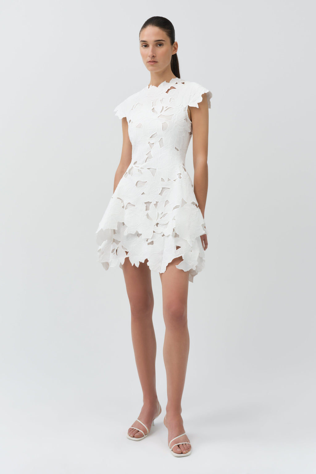 Holloway Embroidered Mini Dress