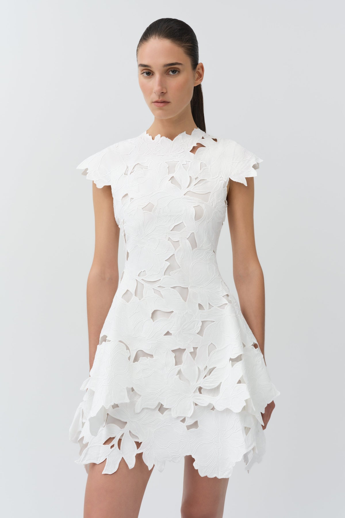 Holloway Embroidered Mini Dress