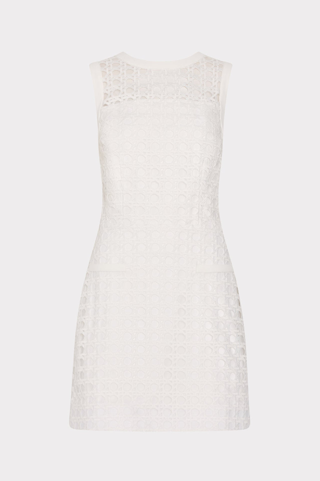 Moira Lace Mini Dress