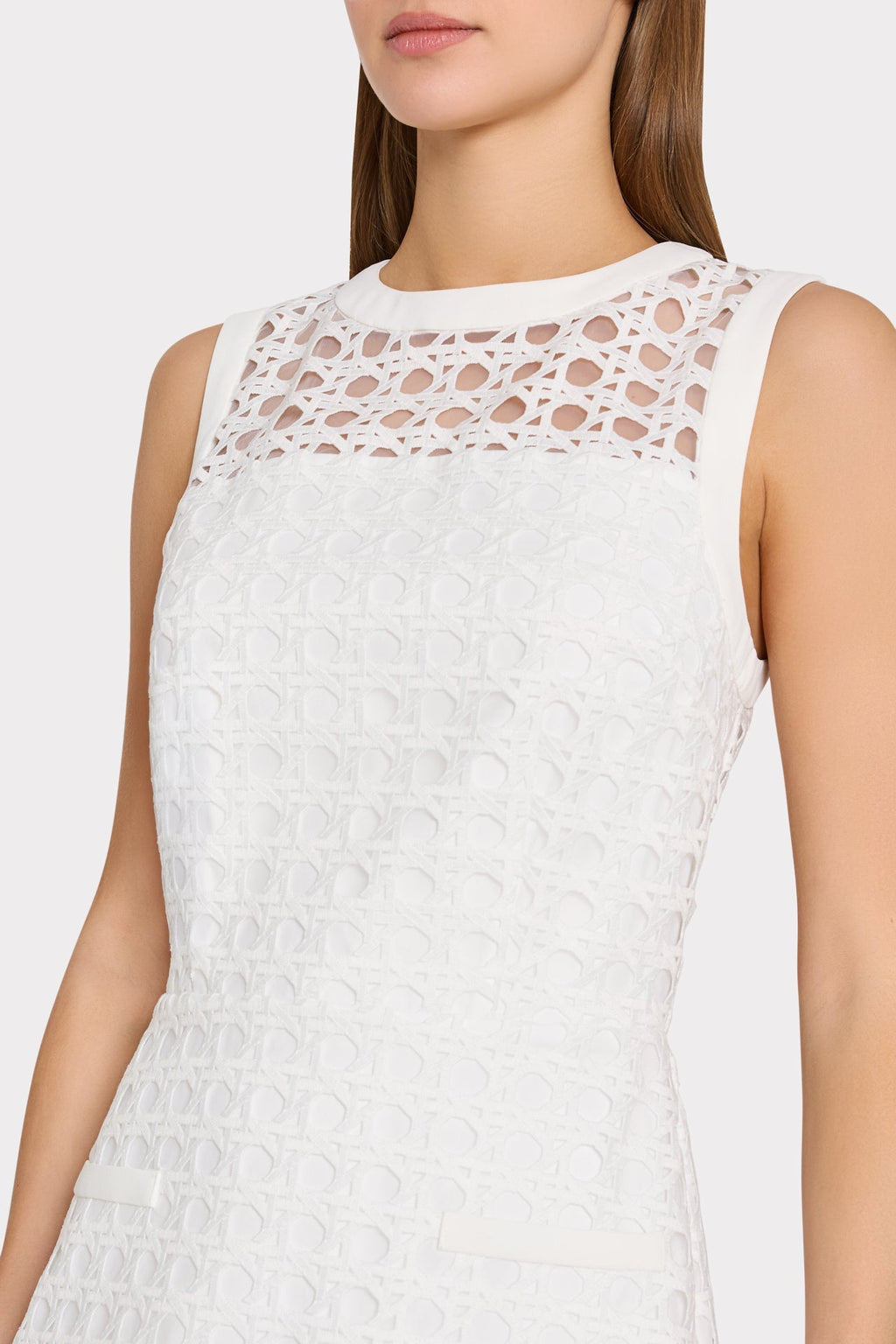 Moira Lace Mini Dress