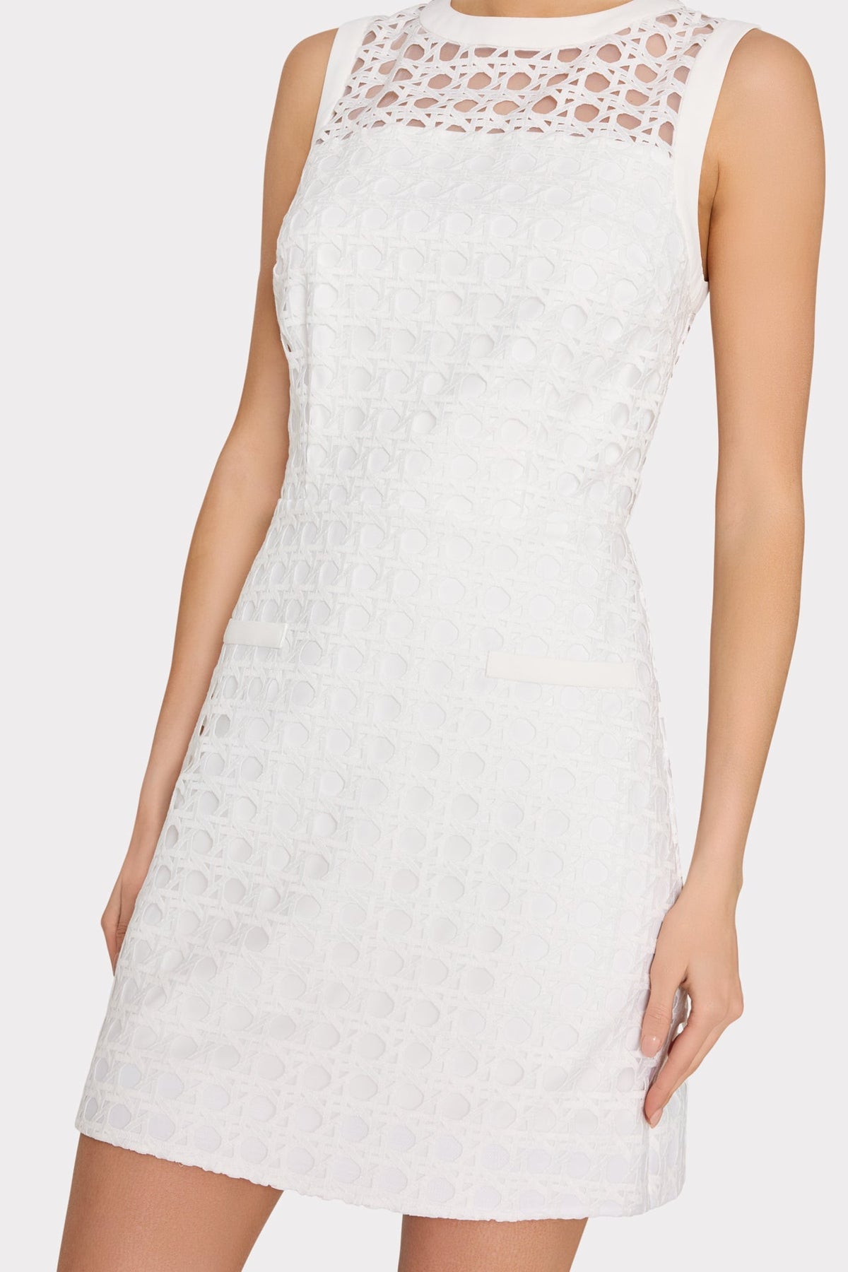 Moira Lace Mini Dress