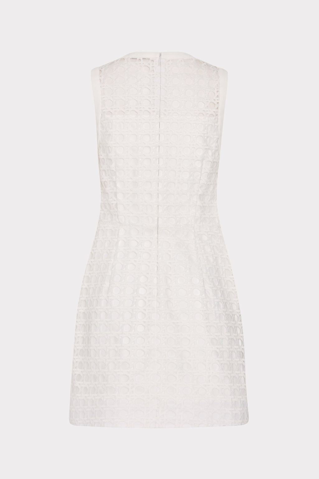 Moira Lace Mini Dress