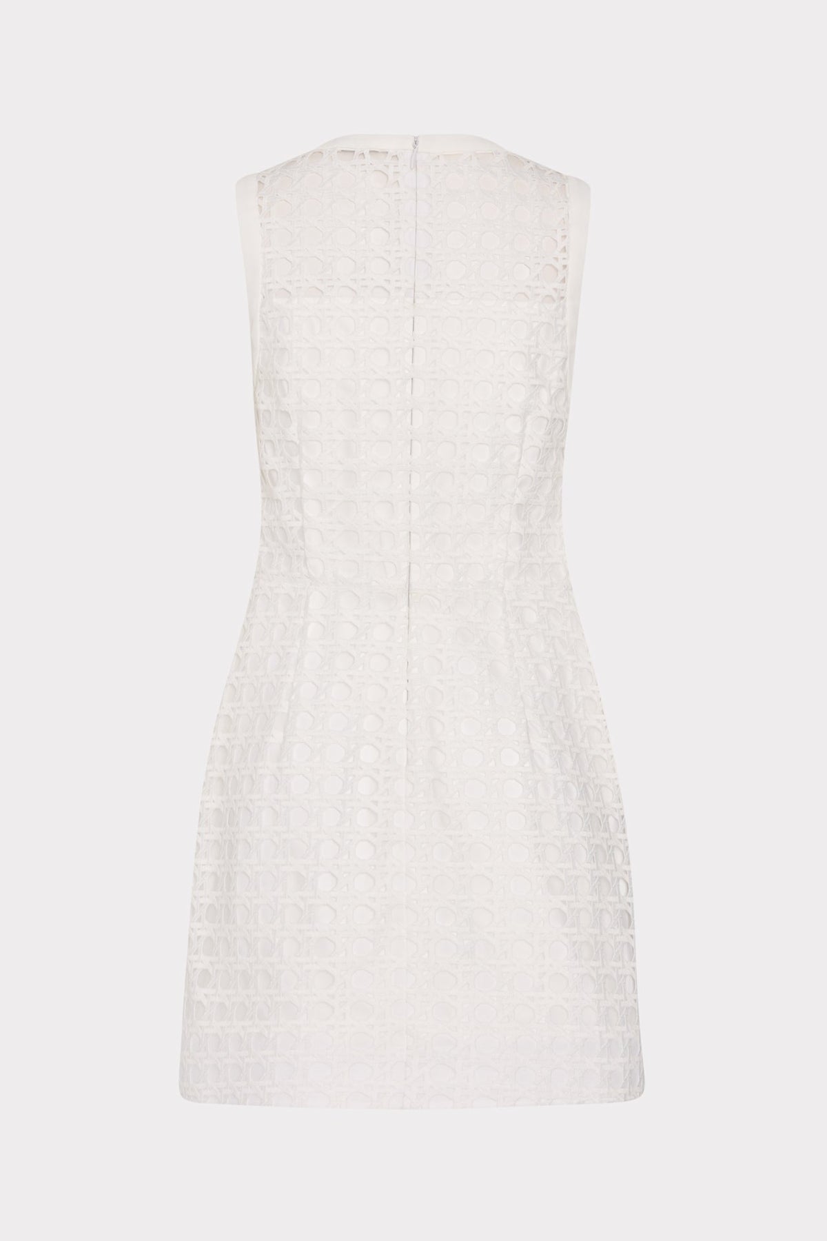 Moira Lace Mini Dress