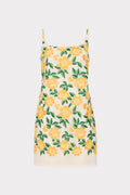 Maria Embroidered Mini Dress