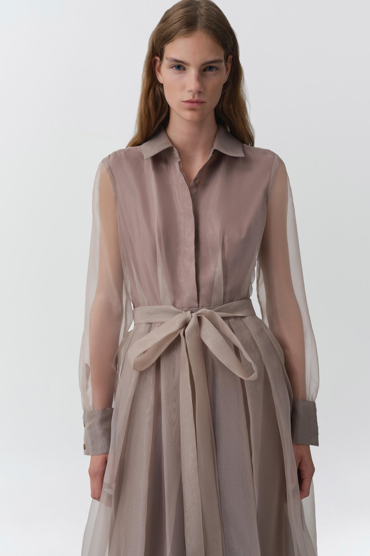 Montgomery Organza Midi Dress