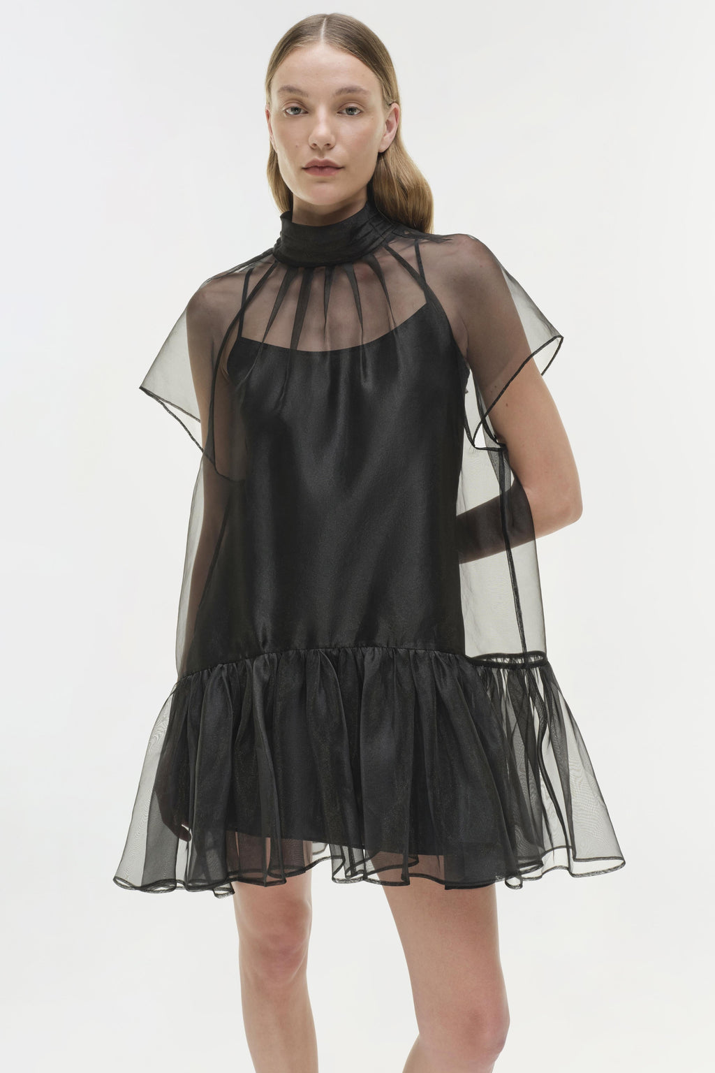 Beaux Organza Dress