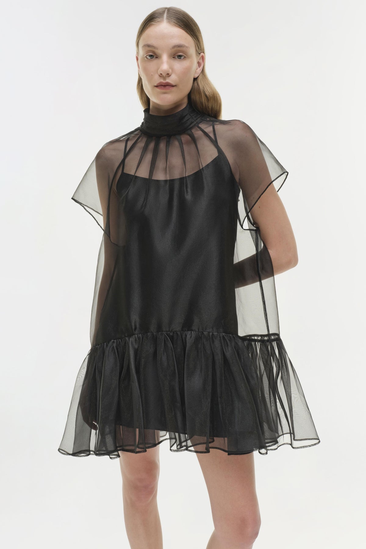 Beaux Organza Dress