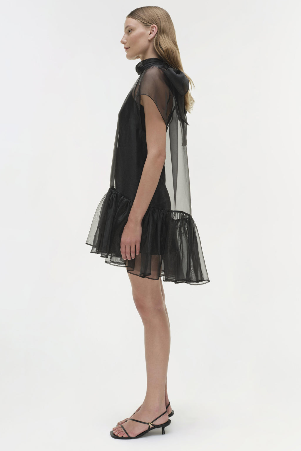 Beaux Organza Dress