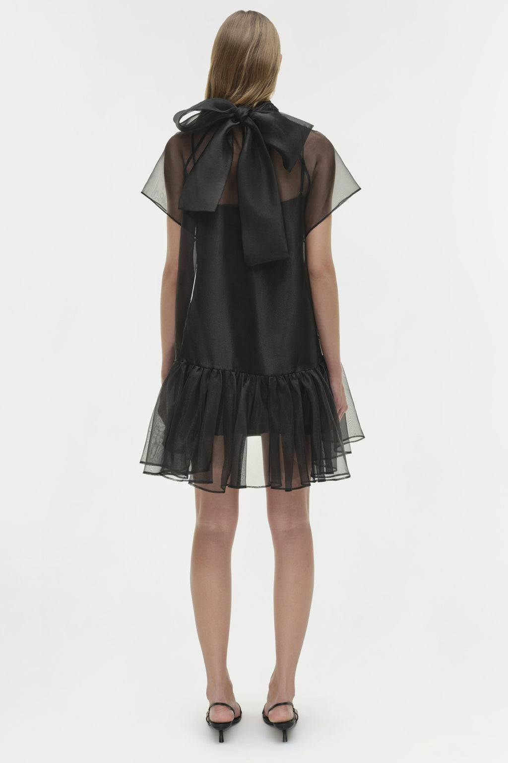 Beaux Organza Dress