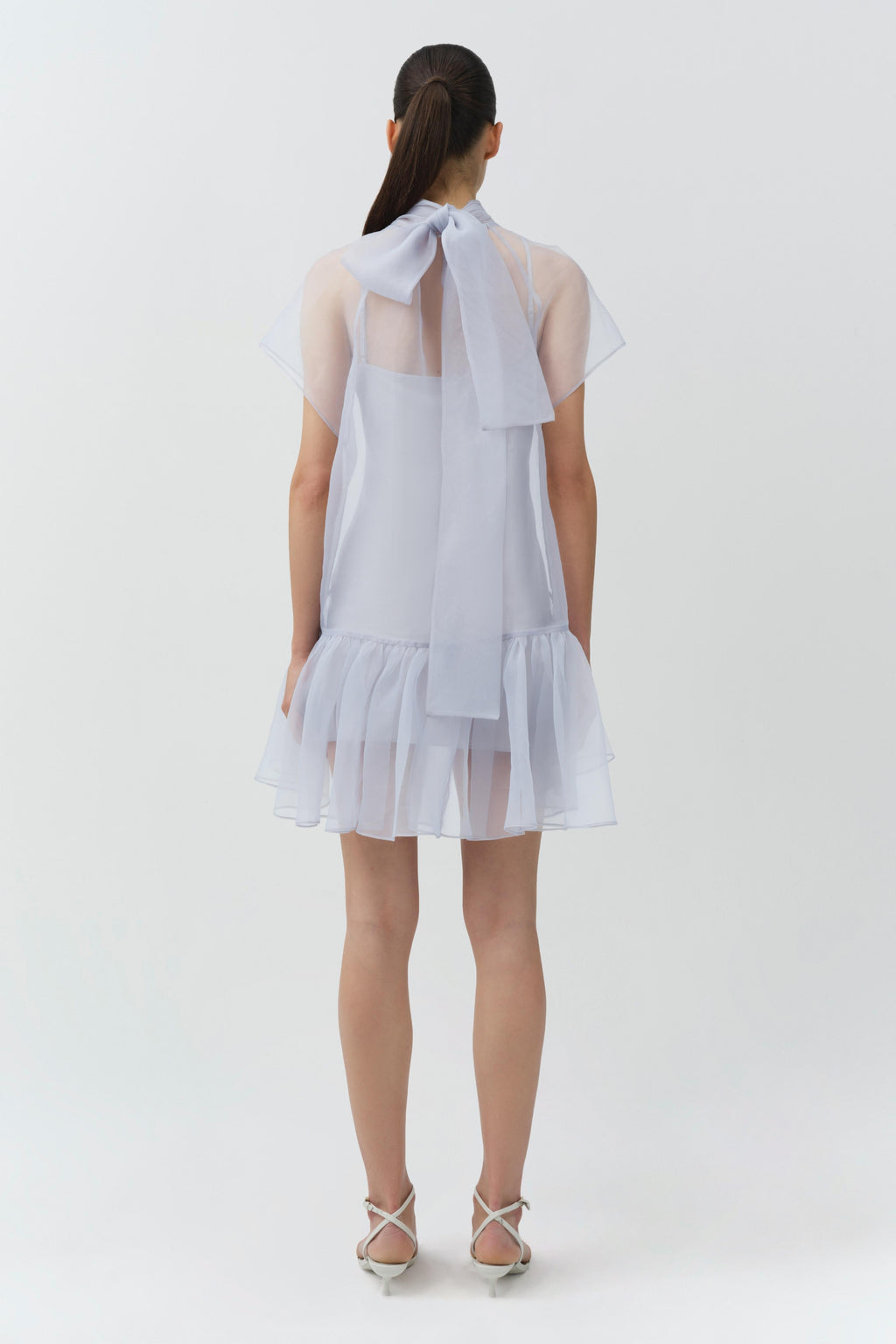 Beaux Organza Mini Dress