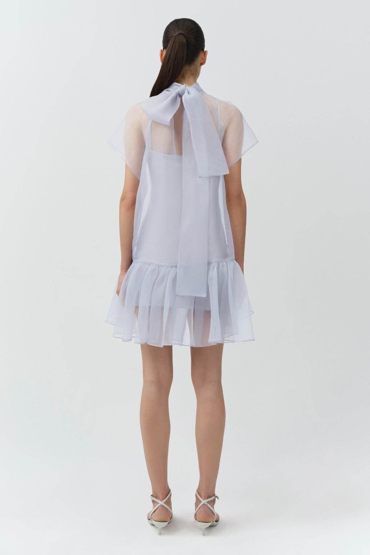 Beaux Organza Mini Dress