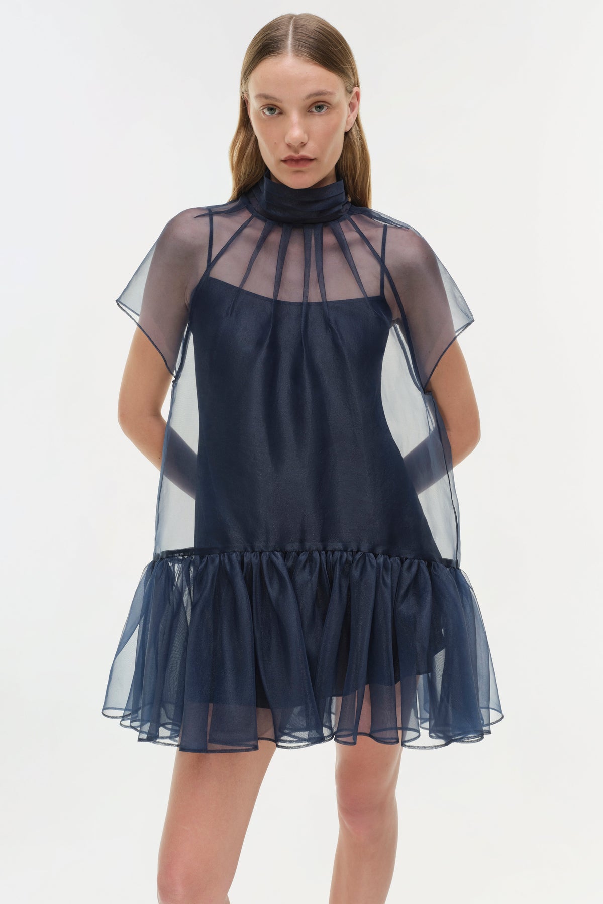 Beaux Organza Dress
