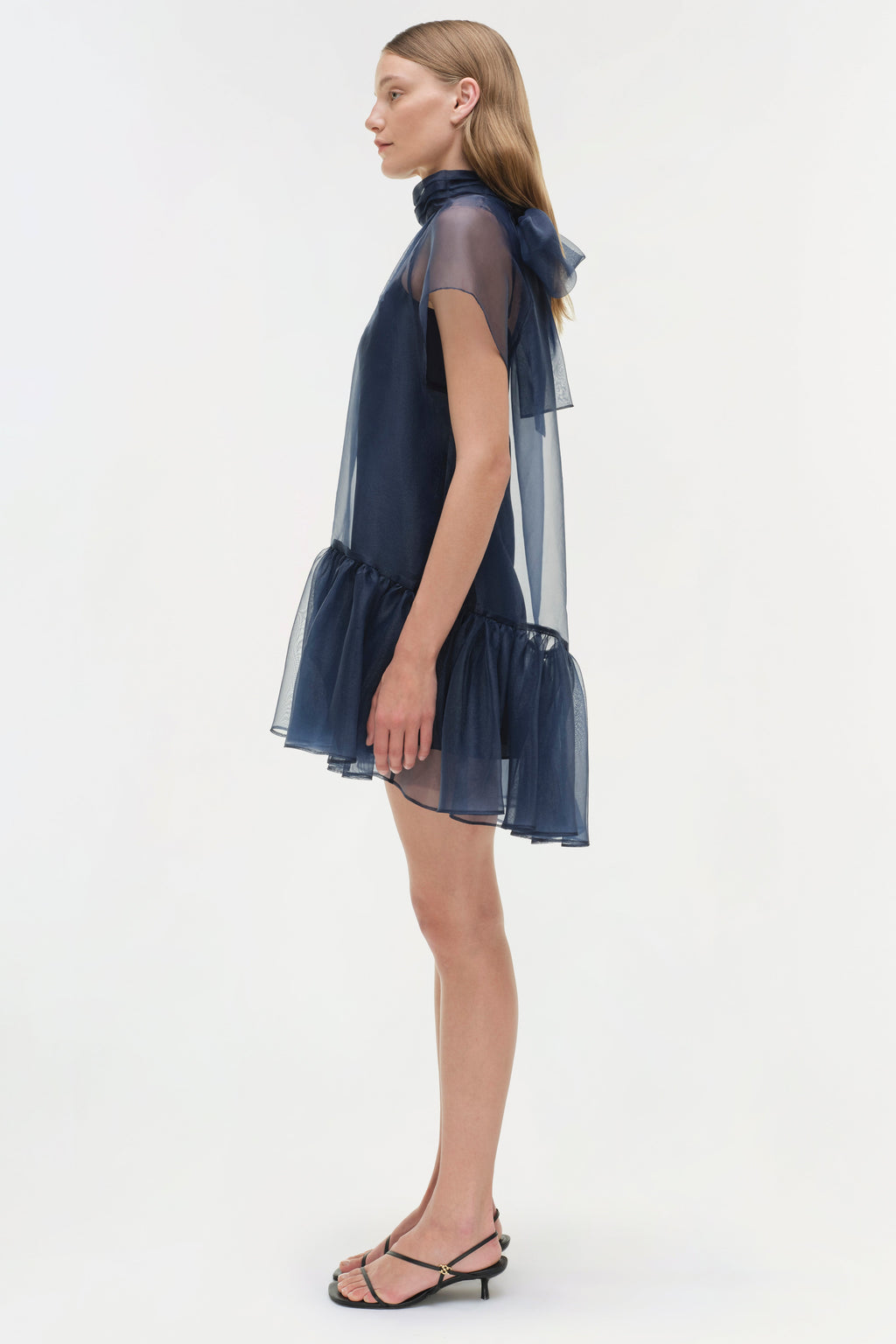 Beaux Organza Dress