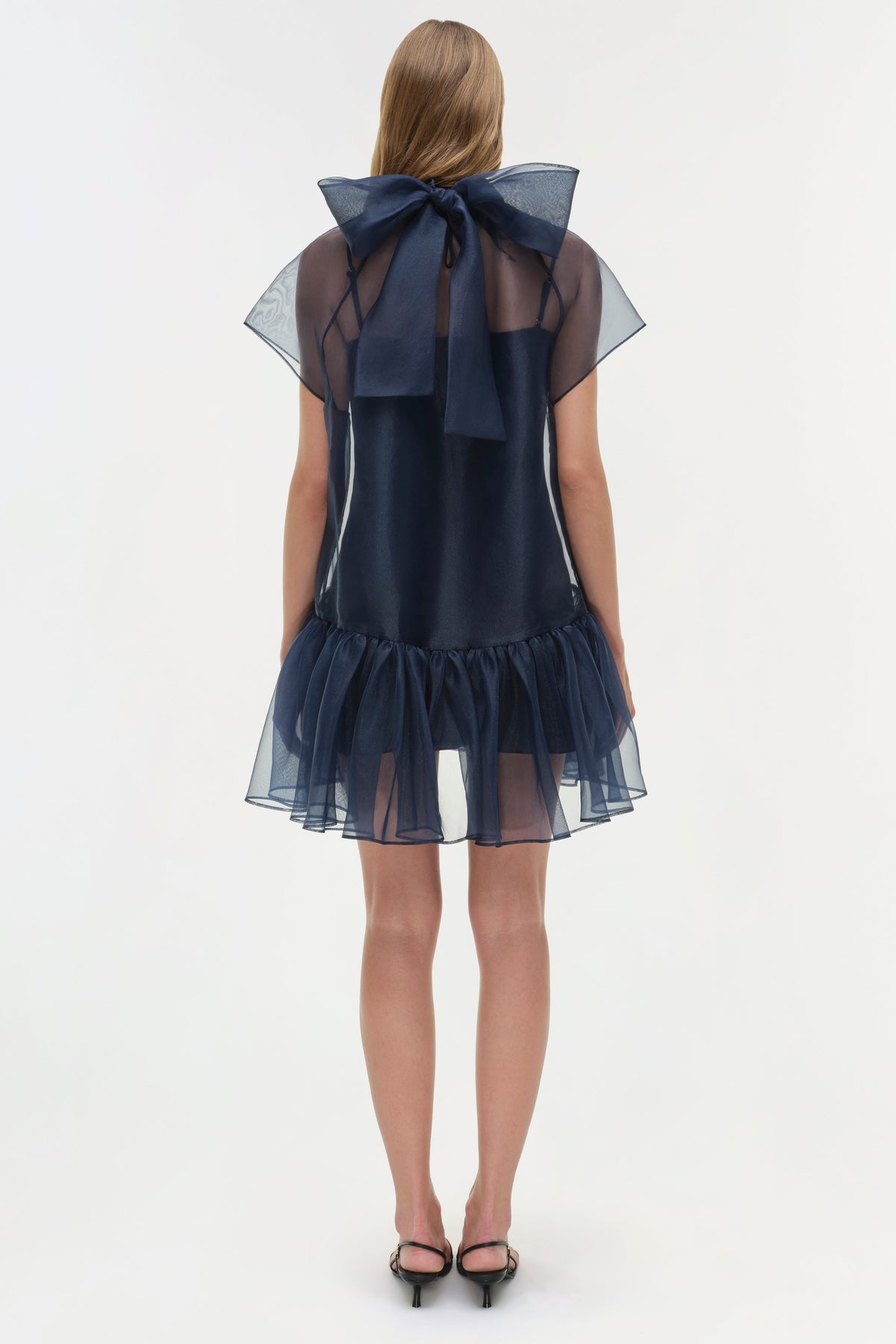 Beaux Organza Dress