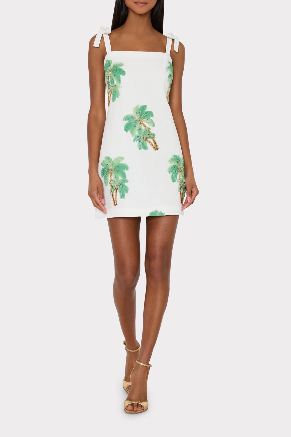 Ceri Embroidered Mini Dress