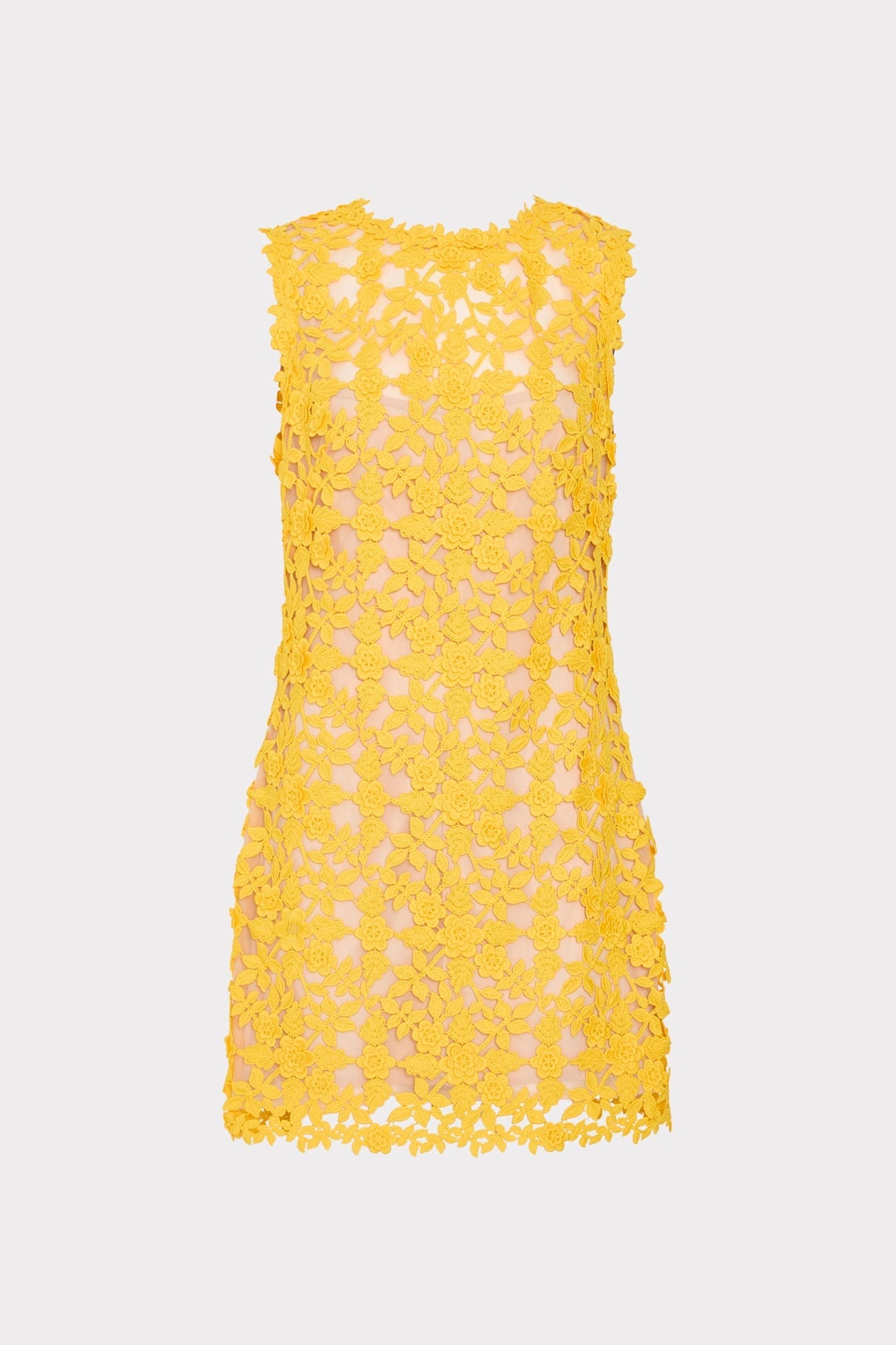 Ivette Lace Mini Dress