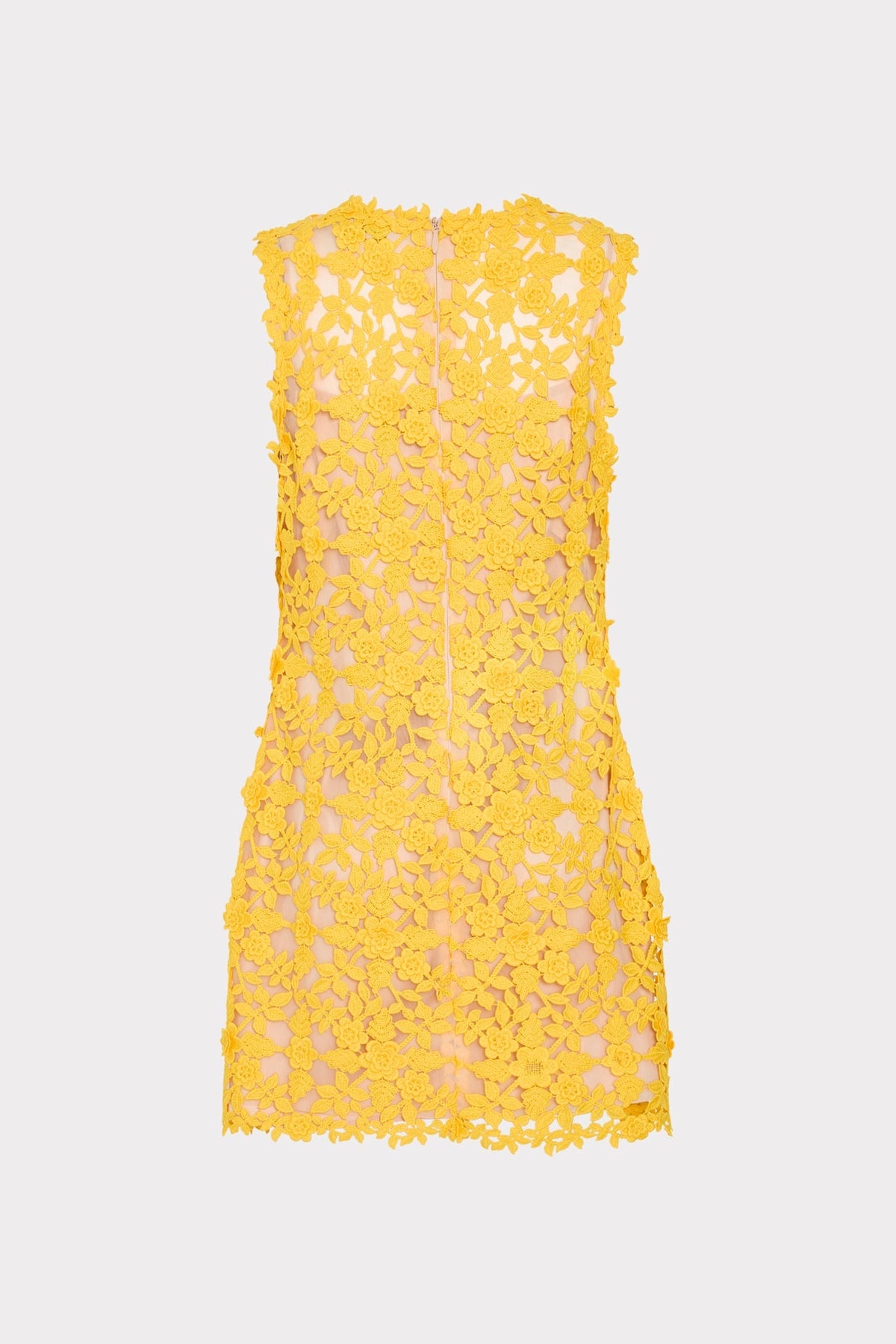 Ivette Lace Mini Dress