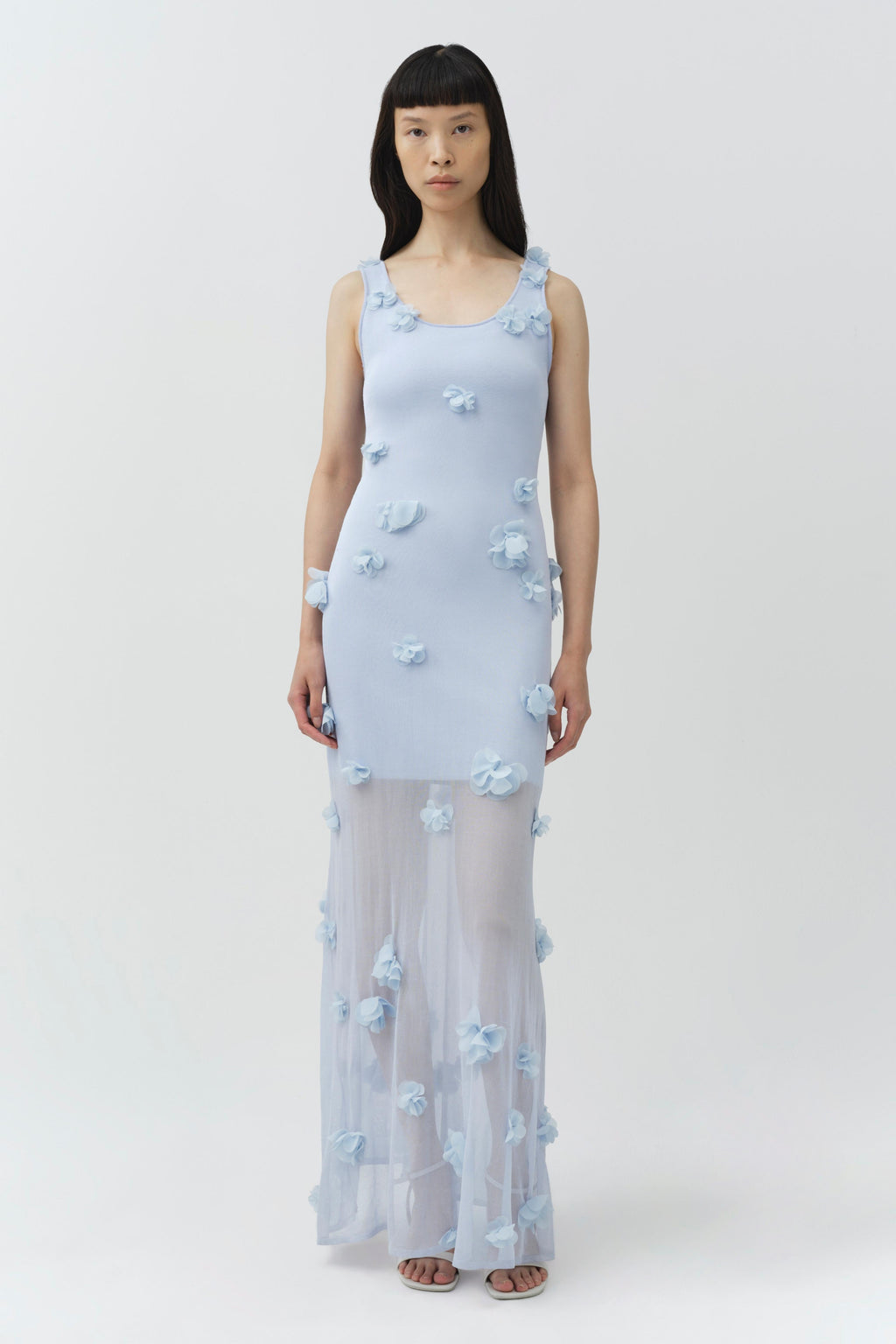 Ivi Floral Applique Midi Dress
