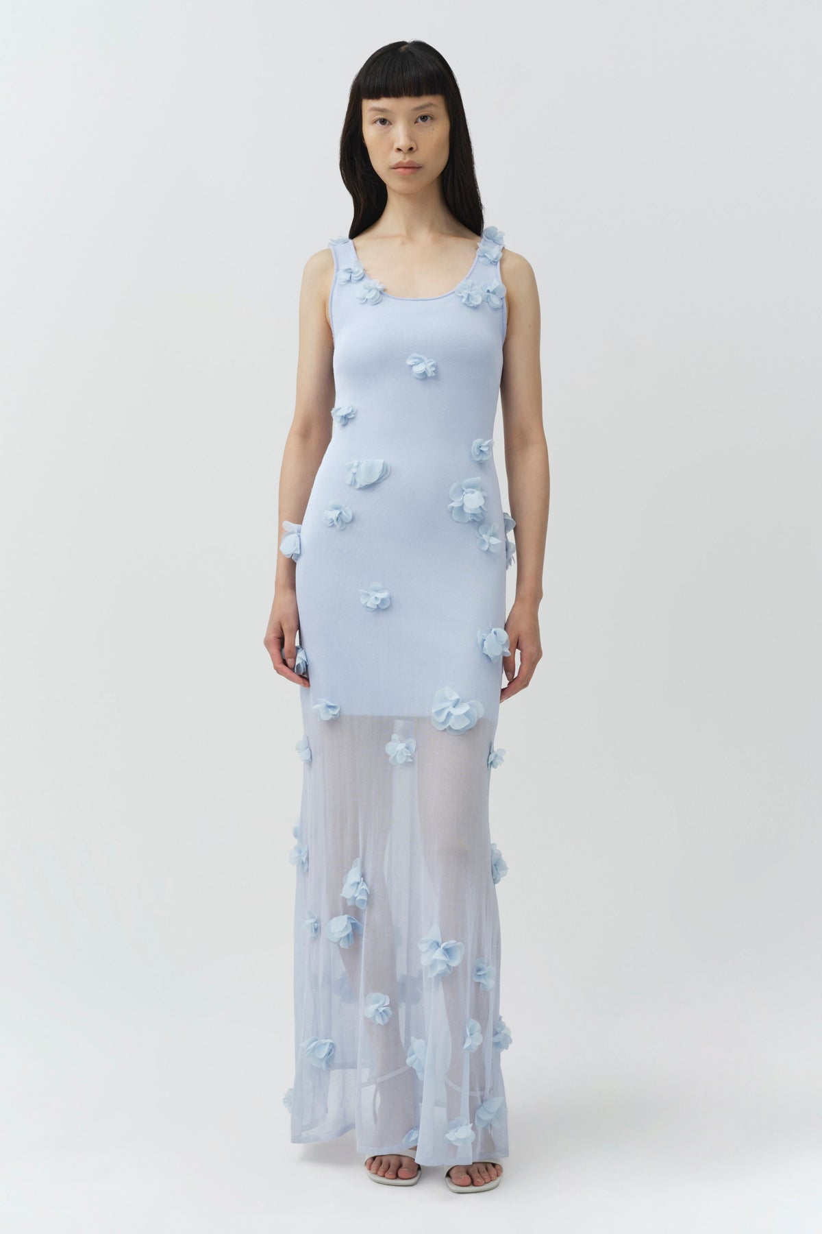 Ivi Floral Applique Midi Dress