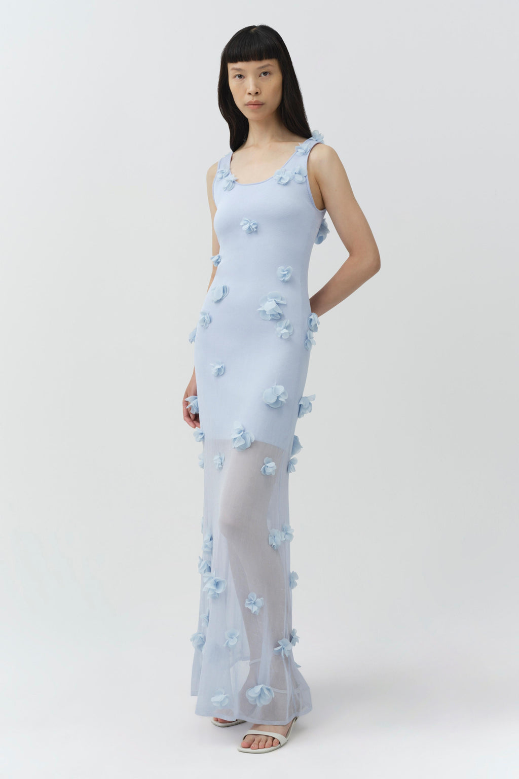 Ivi Floral Applique Midi Dress