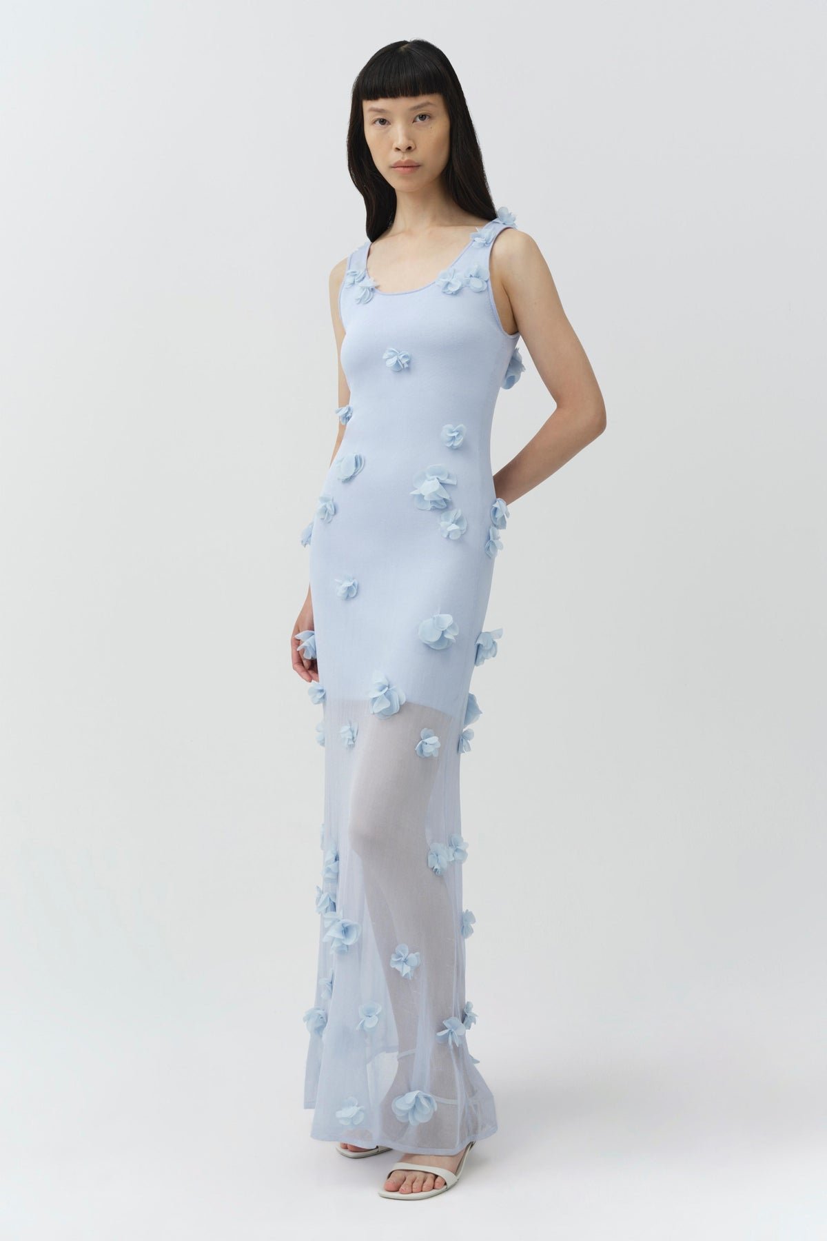 Ivi Floral Applique Midi Dress