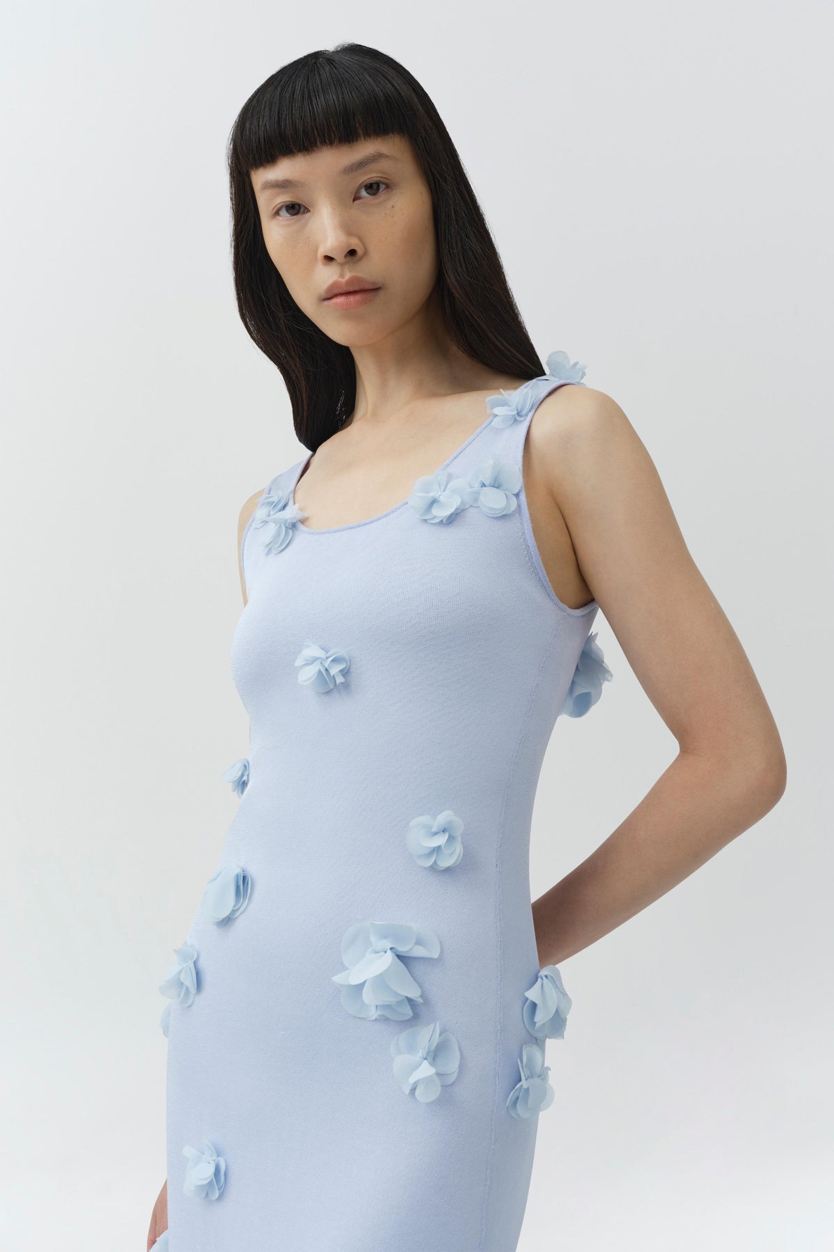 Ivi Floral Applique Midi Dress