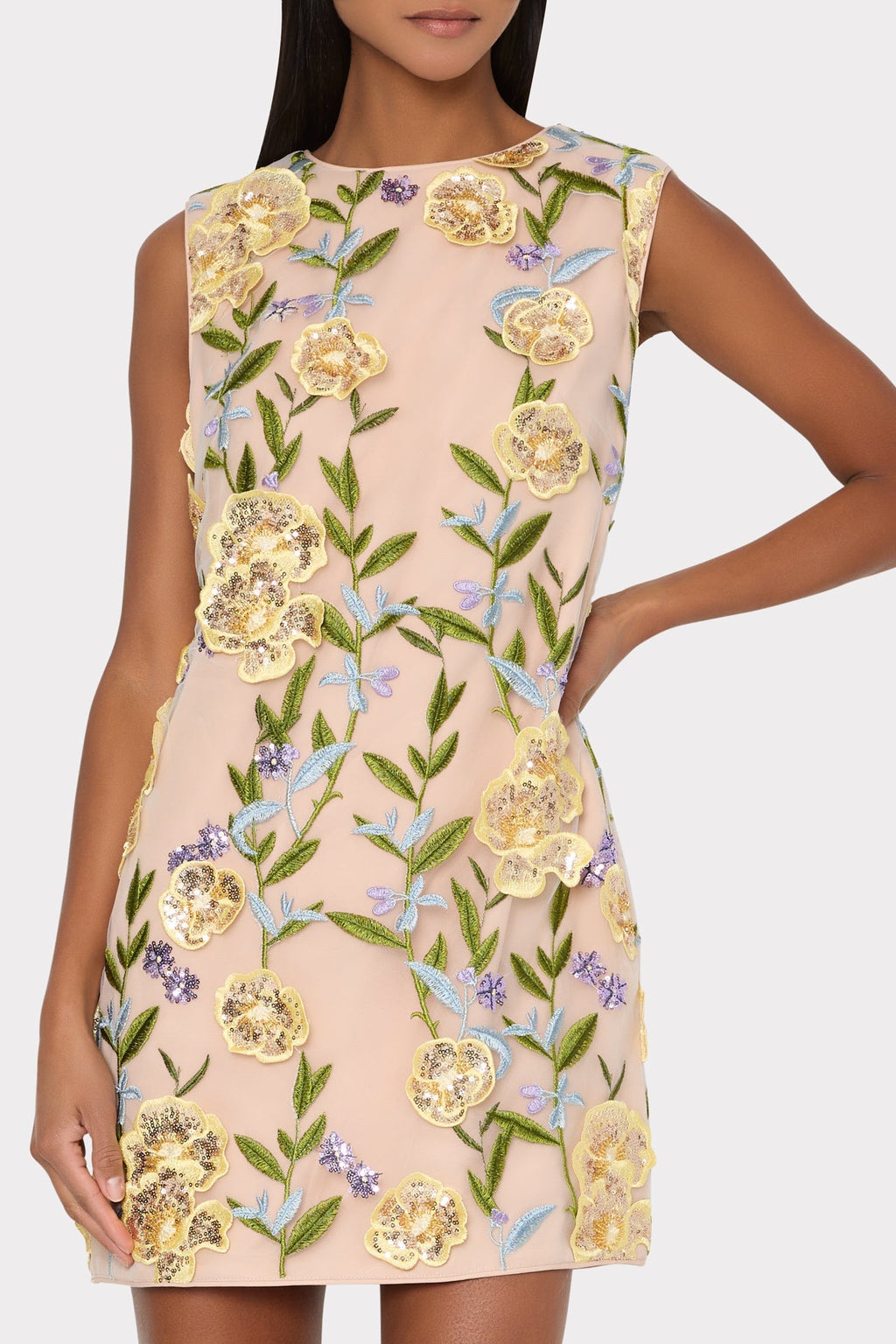 Ivette Embroidered Sequin Mini Dress