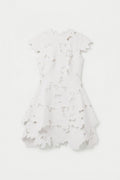 Holloway Embroidered Mini Dress