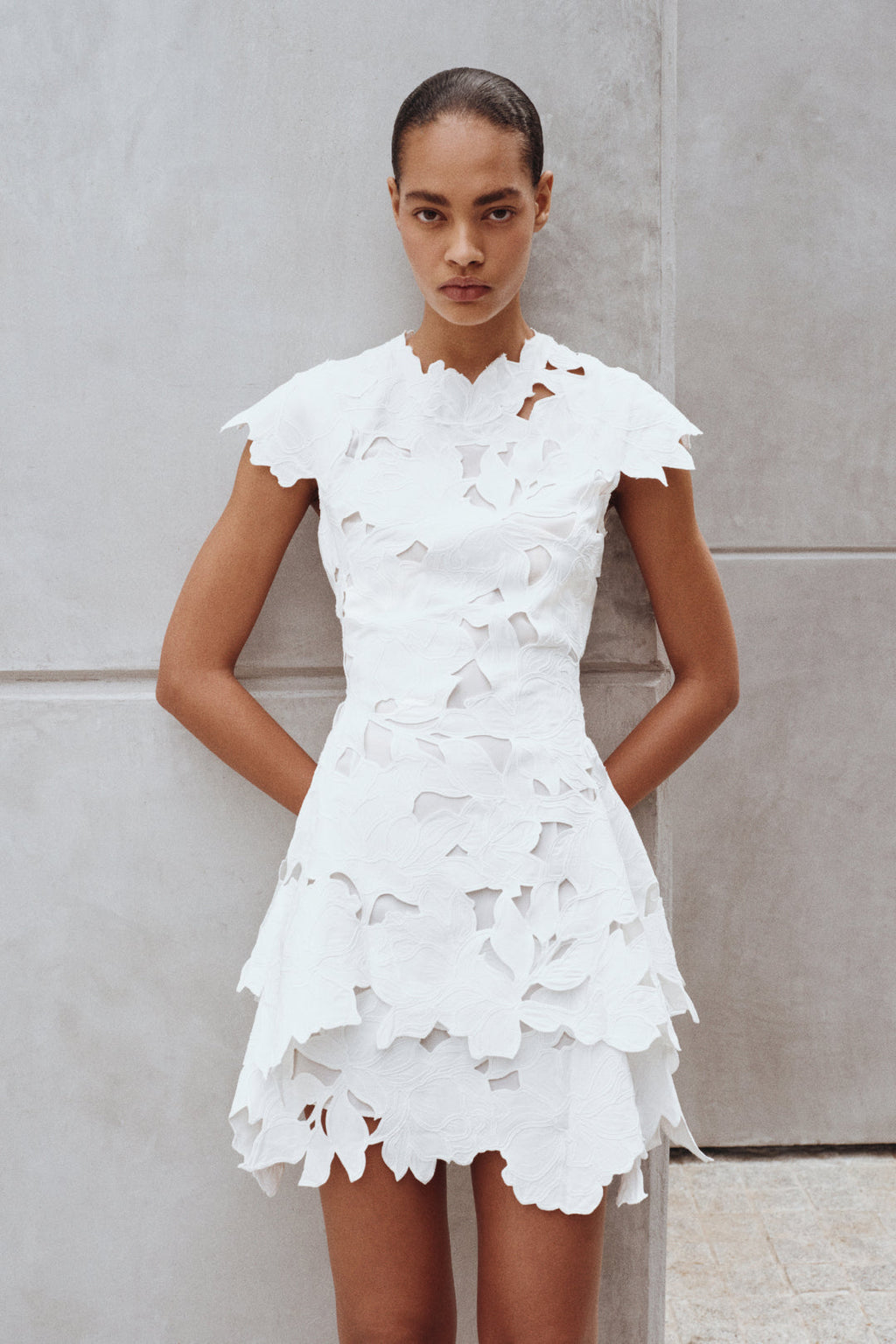 Holloway Embroidered Mini Dress