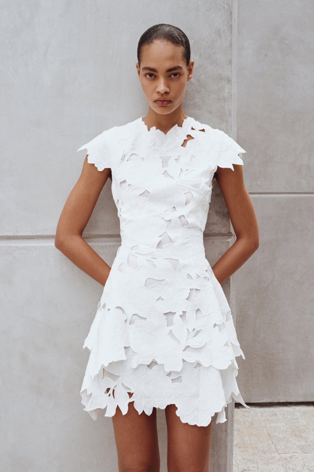 Holloway Embroidered Mini Dress