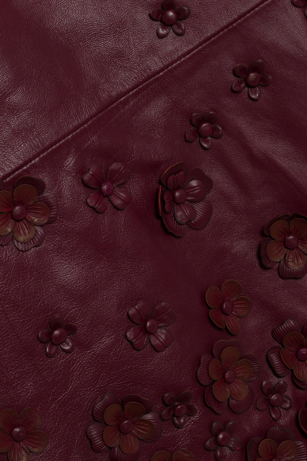 Talen Floral Leather Mini Dress
