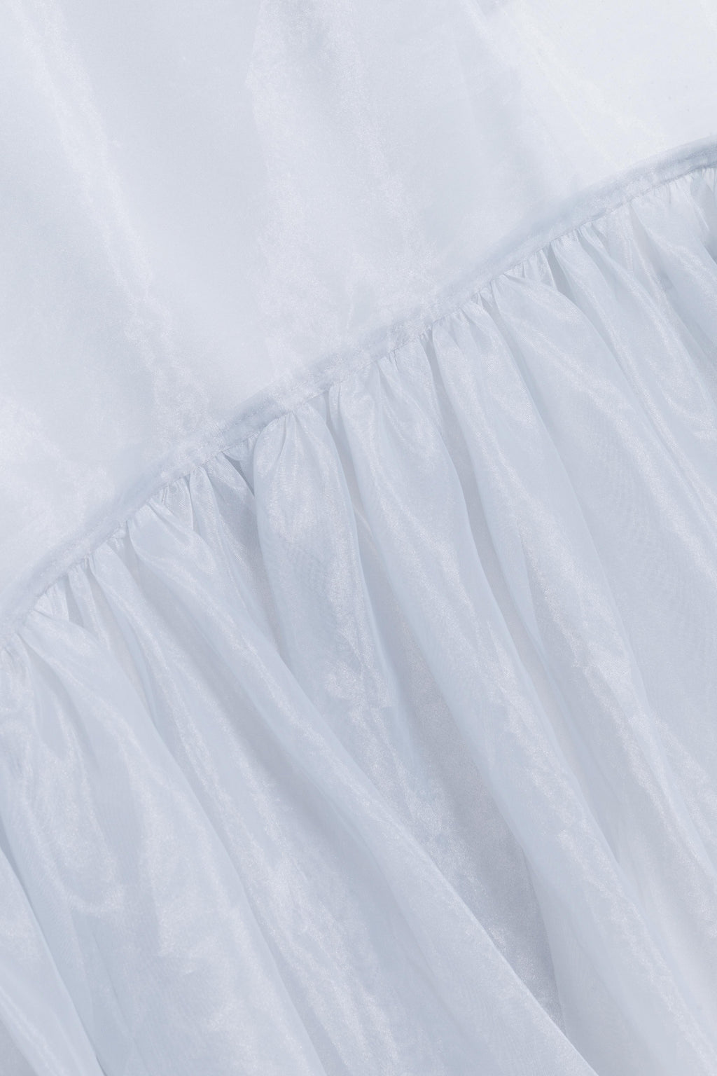 Beaux Organza Mini Dress