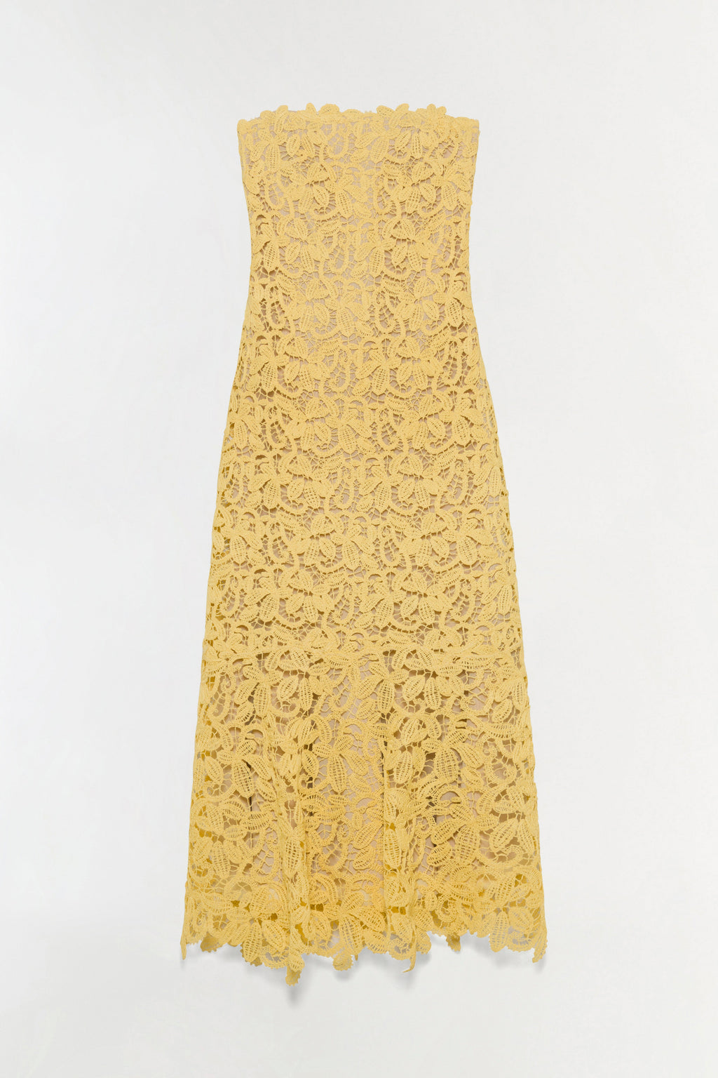 Sera Floral Raffia Bustier Midi Dress