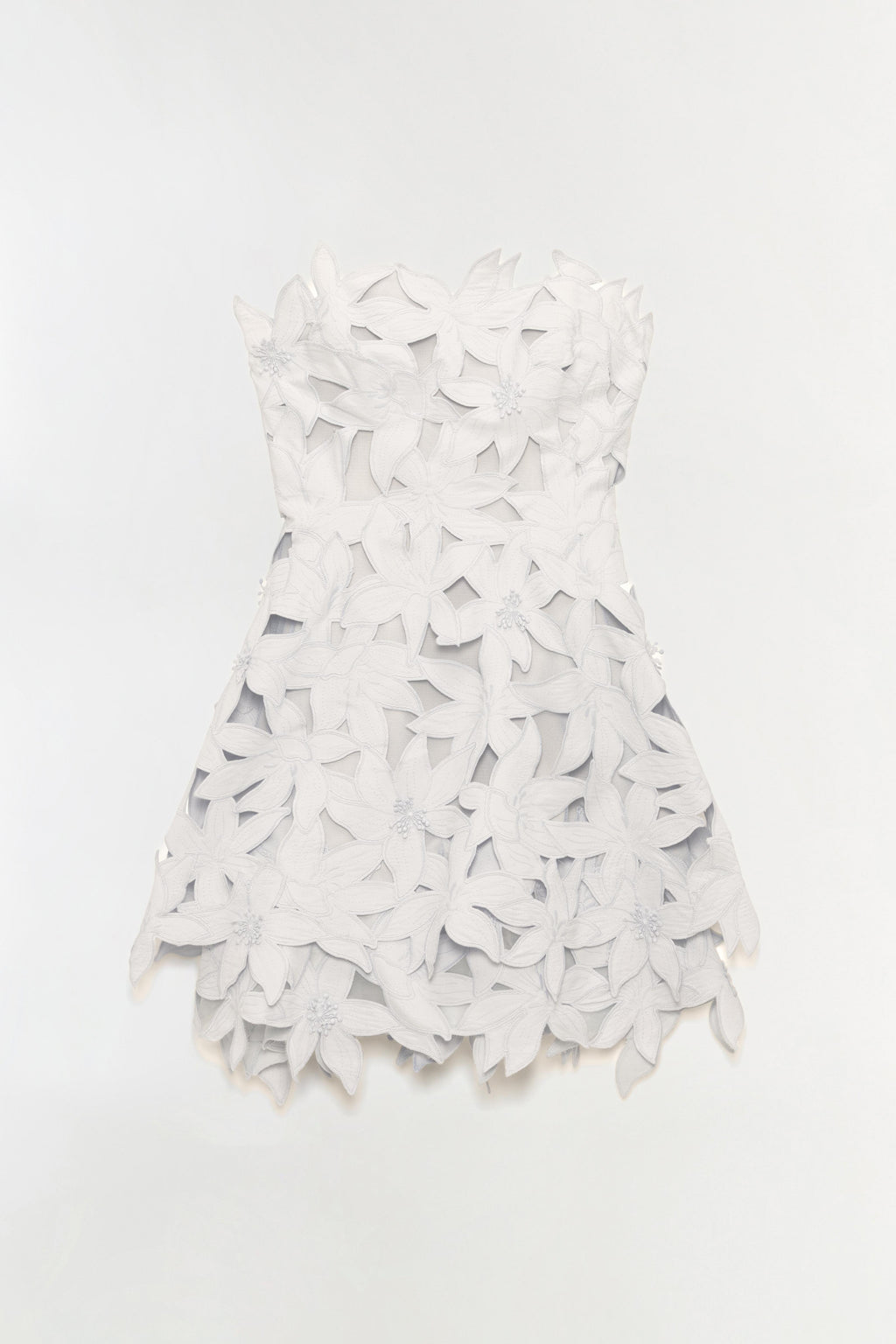 Miri Embroidered Cotton Bustier Mini Dress