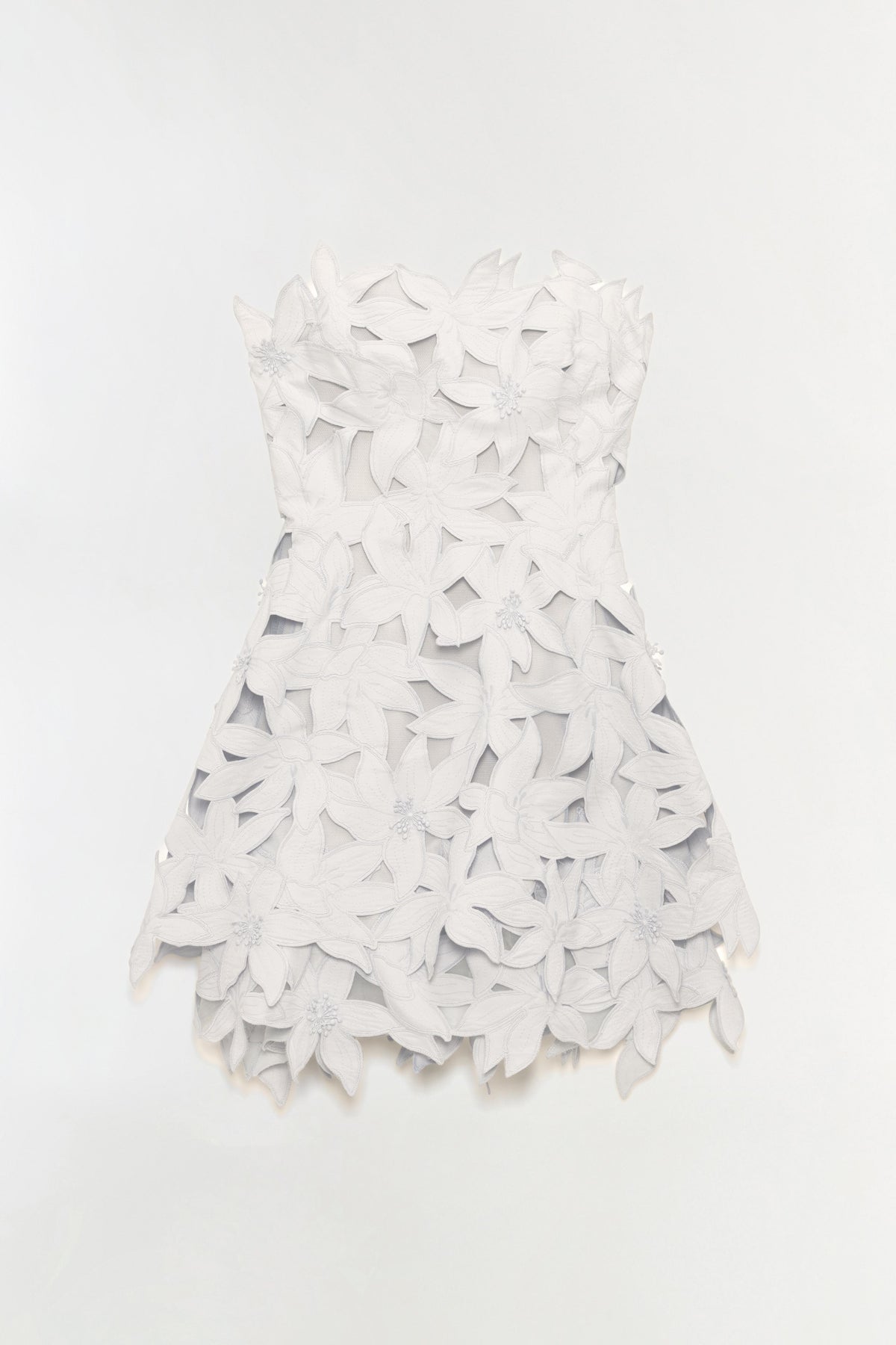 Miri Embroidered Cotton Bustier Mini Dress